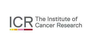 http://oraclecancertrust.org/wp-content/uploads/2019/01/The-Institute-Cancer-research-logo.png